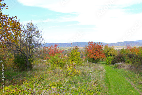 Nature in Hungary Dunabogdany