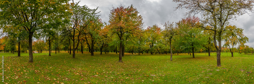panoramic view of the lawn with trees in the autumn city park