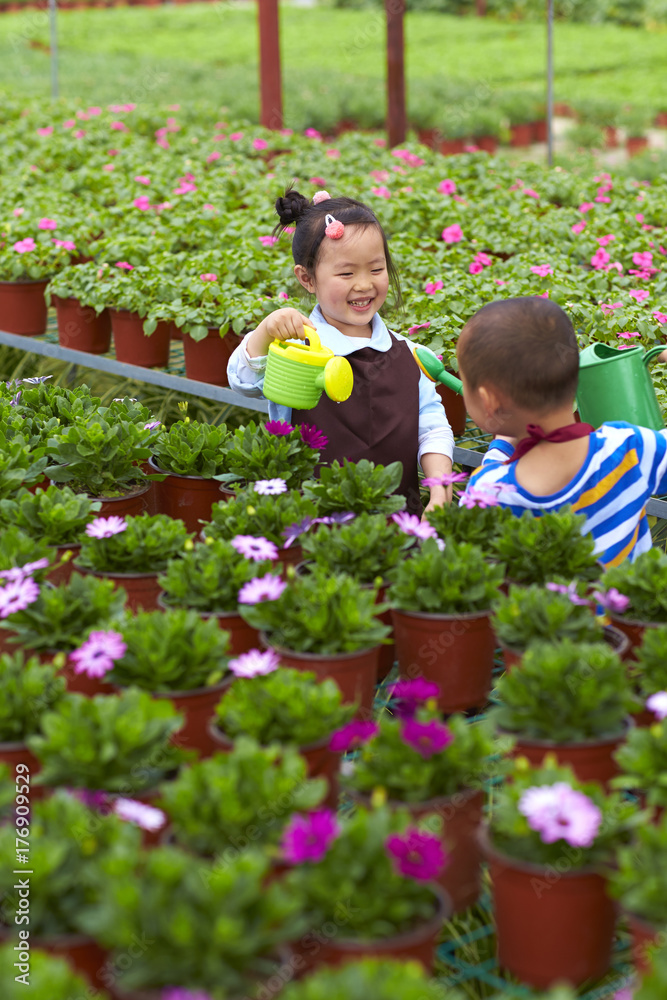 two lovely kid watering flowers in the garden two lovely kid watering flowers in the garden