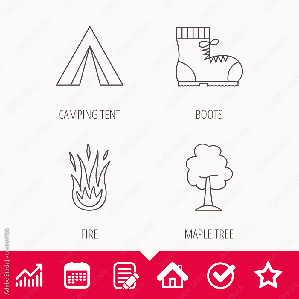 Maple tree, camping tent and hiking boots.