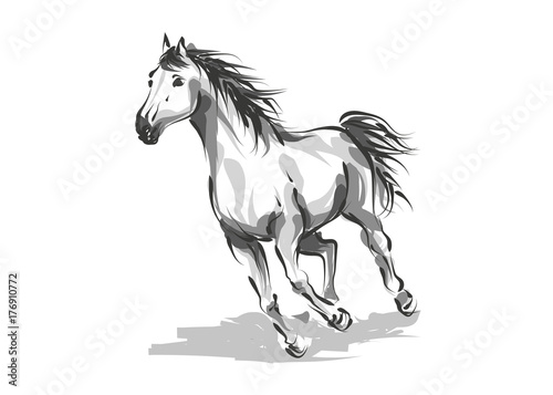 Vector digital drawing horse