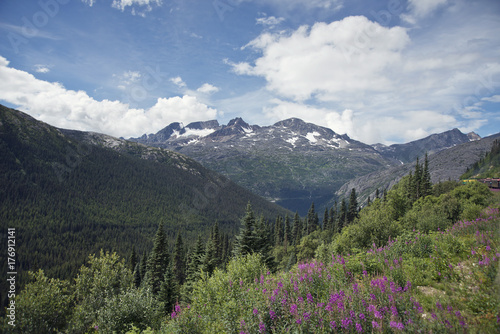 The scenery along the White Pass,Alaska © SunnyS