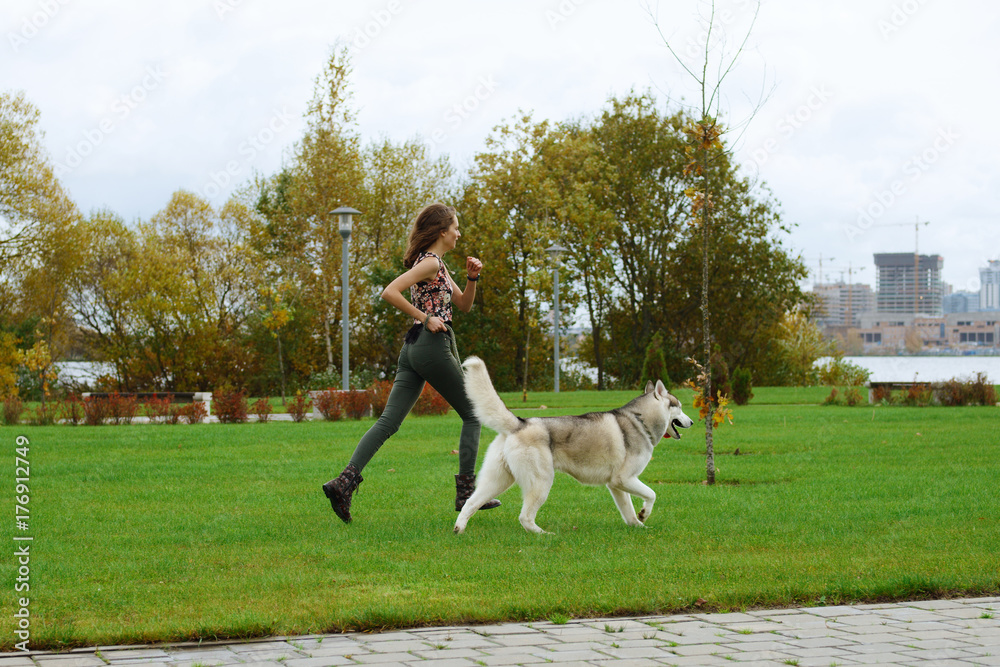 Girl playing with husky dog in city park. Jogging with dog. Girl playing with husky dog in city park. Jogging with dog.