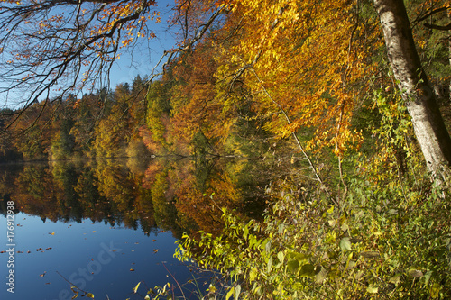 Herbststimmung am See photo