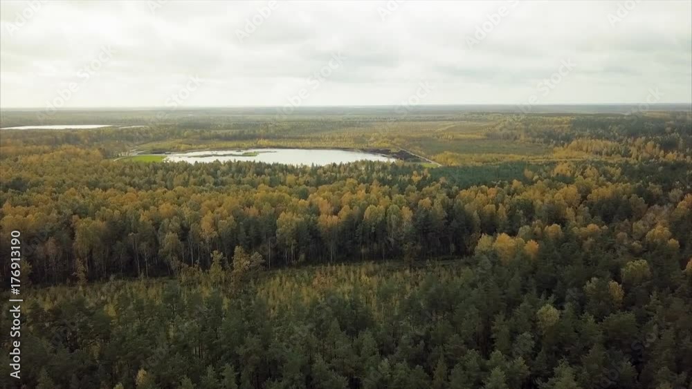 Nature, Amazing Aerial View of Colorful Field of Trees During Fall Foliage Nature, Amazing Aerial View of Colorful Field of Trees During Fall Foliage