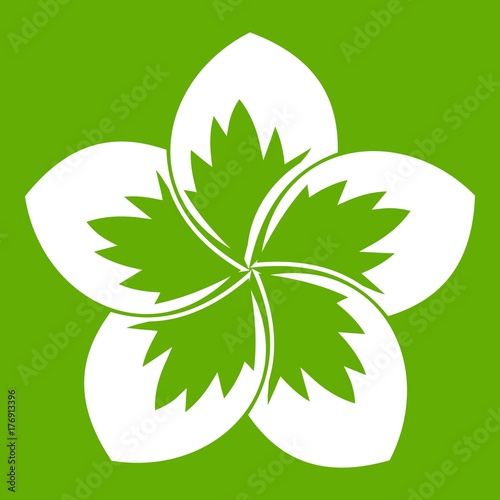 Frangipani flower icon green