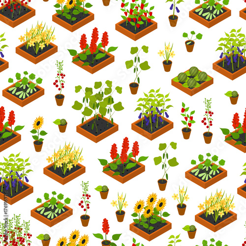 Plant Seedling Isometric View. Vector