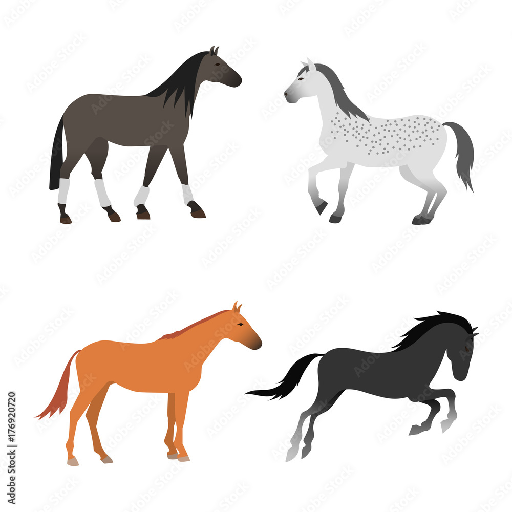 Horse pony stallion isolated different breeds color farm equestrian animal characters vector illustration.