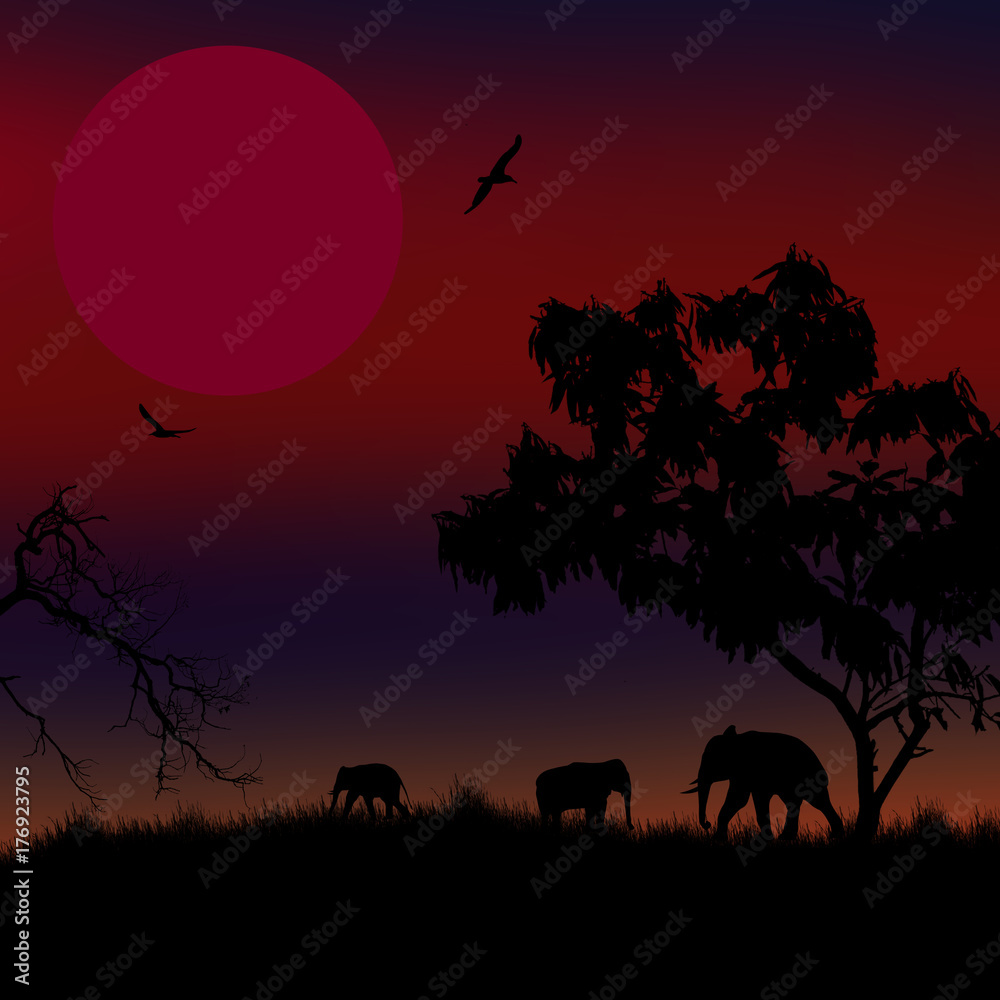African savanna with silhouette of elephants at red sunset