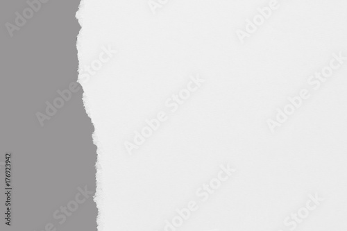 torn paper isolated on gray background with copy space for text