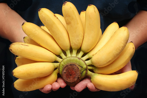 Egg-banana  or Pisang mas is  famous fruit of Thailand.