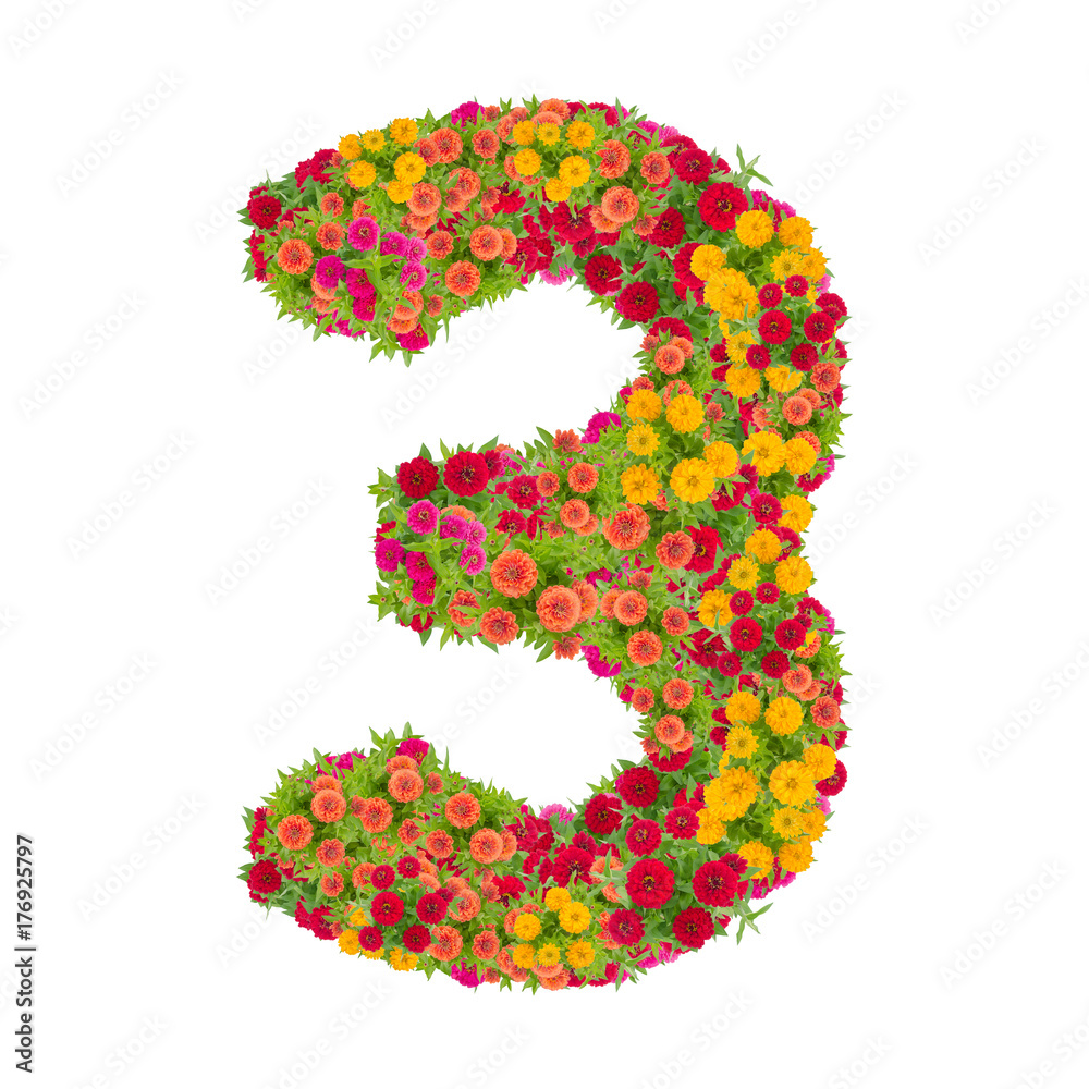 number 3 made from Zinnias flowers isolated on white background.Colorful zinnia flower put together in number three shape with clipping path number 3 made from Zinnias flowers isolated on white background.Colorful zinnia flower put together in number three shape with clipping path