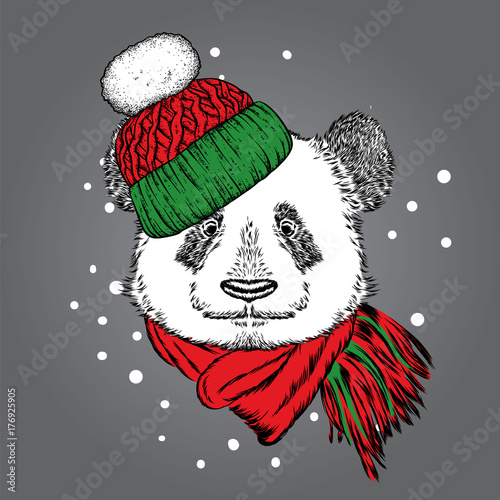 Fototapeta Naklejka Na Ścianę i Meble -  A beautiful panda in a winter hat and scarf. Cute bear. Vector illustration for a postcard, poster, print for clothes or accessories. New Year's and Christmas.