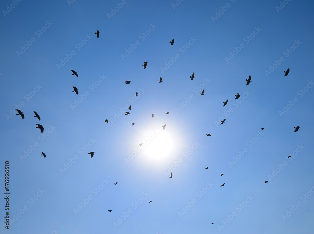 Silhouette of a flock of blackbird flying through a surreal even