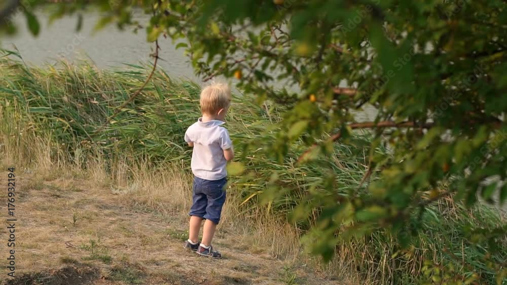 Little boy three years throwing small stone into a lake with reeds in the summer, active family camping. Little boy three years throwing small stone into a lake with reeds in the summer, active family camping.