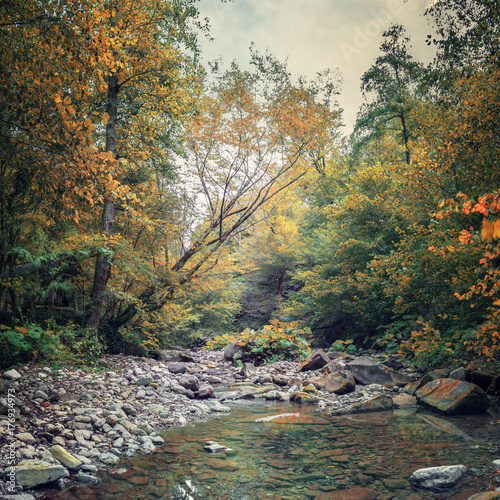 Горная река в осеннем лесу