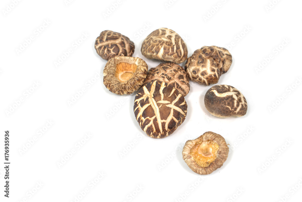 Dry shiitake mushroom on white background - isolated Dry shiitake mushroom on white background - isolated