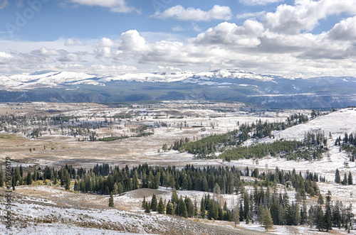 Snow view in Yellowstone National Park