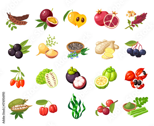 Set of superfood fruit. Vector illustration cartoon flat icon collection isolated on white.