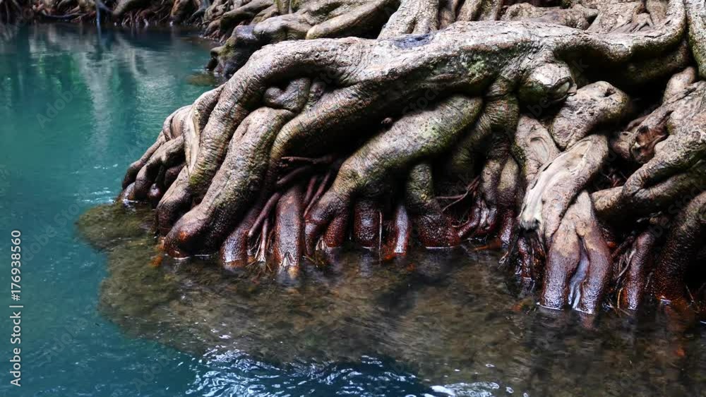 Blue River at Tha Pom Klong Song Nam, Krabi, Thailand
