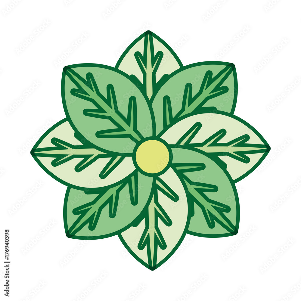 beautiful flower icon over white background vector illustration beautiful flower icon over white background vector illustration