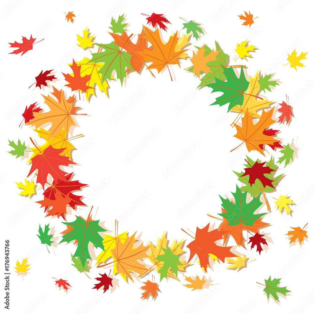 colorful maple leaves on white background - vector frame
