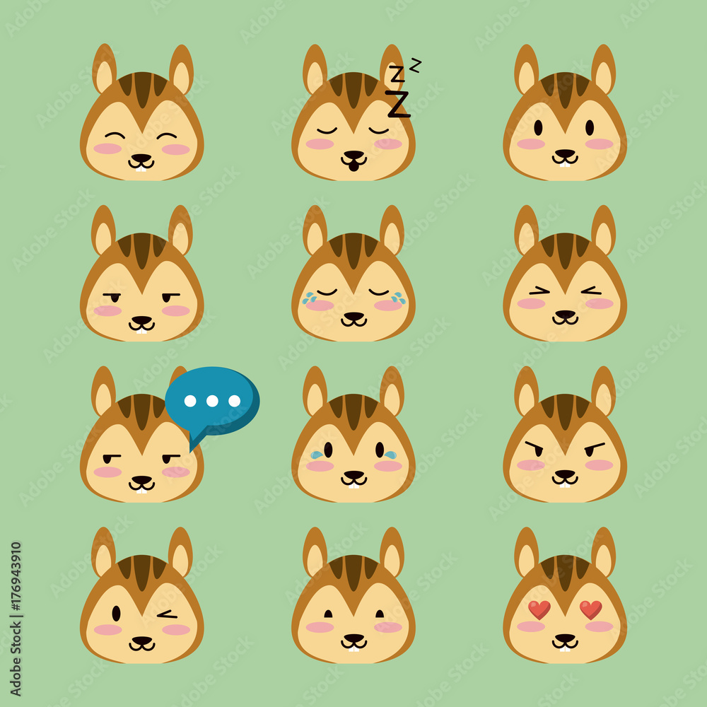 Cute squirrel icons icon vector illustration graphic design