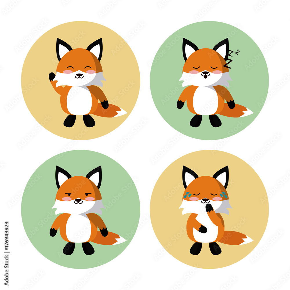 Cute fox icons icon vector illustration graphic design