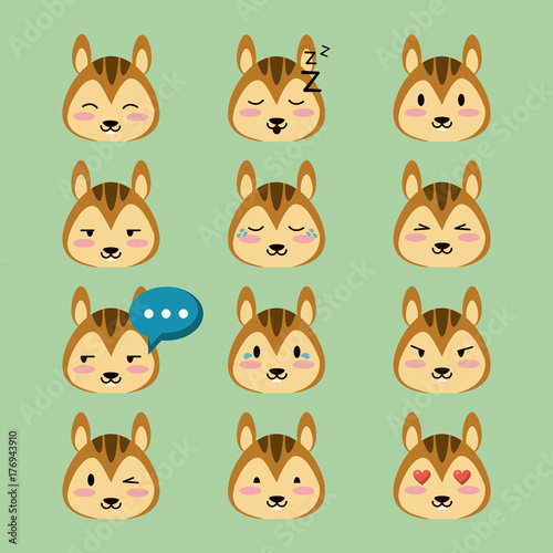 Cute squirrel icons icon vector illustration graphic design