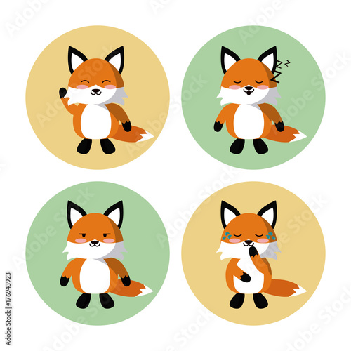 Cute fox icons icon vector illustration graphic design © Jemastock