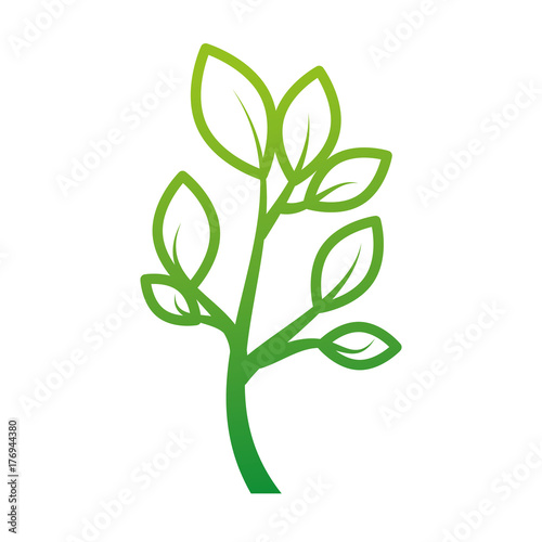 investment concept financial profit growth process plant business metaphor