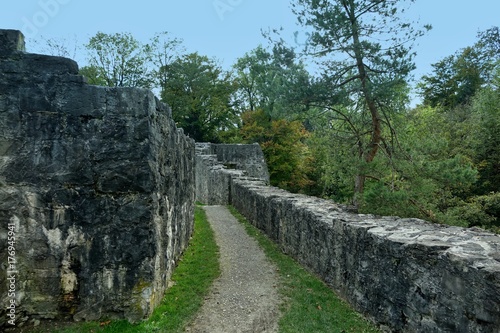 burgruine schellenberg in liechtenstein