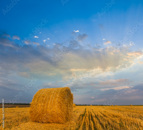 wheat field after a harvest with a haystack