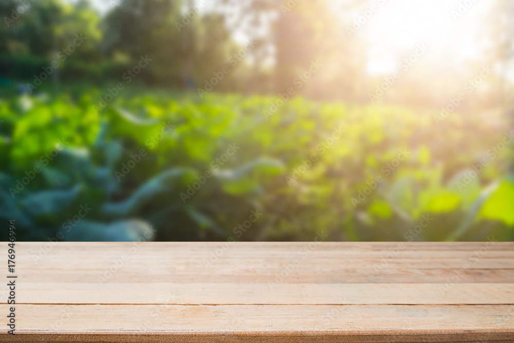 Agriculture background table or desk is empty for present product. Agriculture background table or desk is empty for present product.