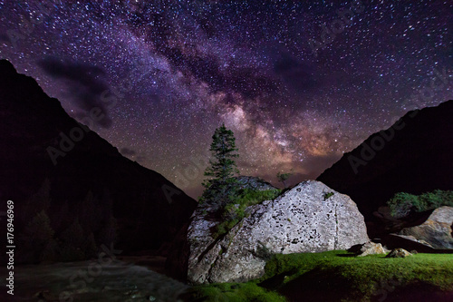 Starry night in the mountains. Lonely tree on a rock photo