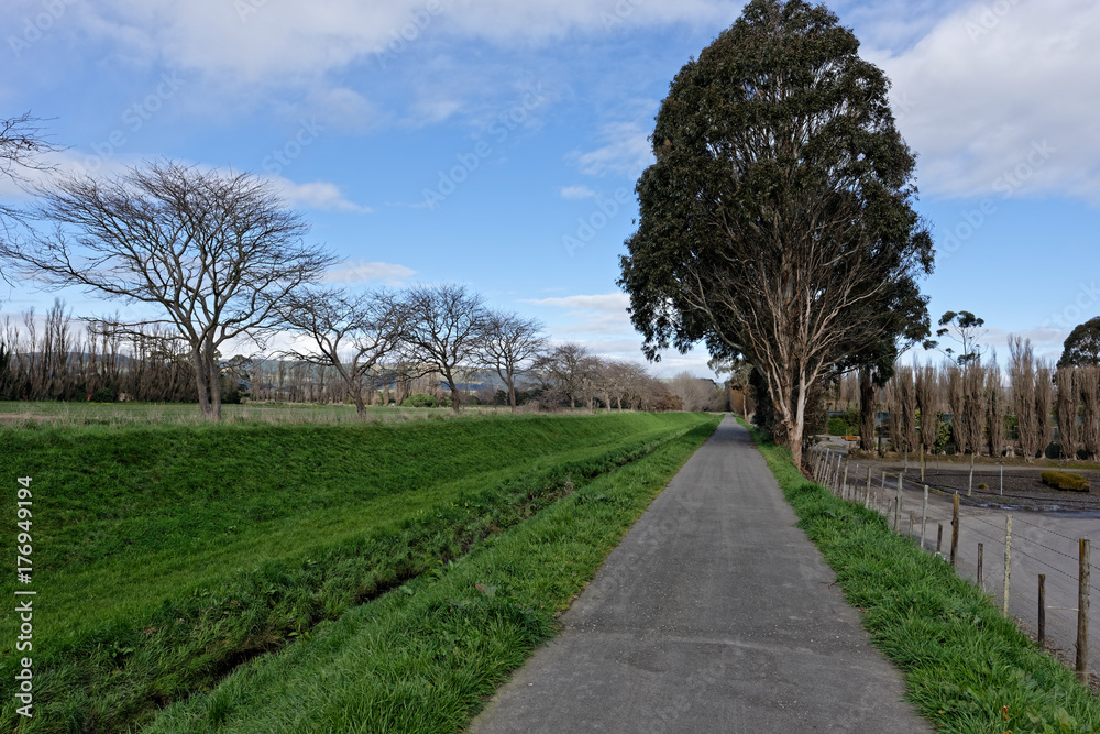 A walkway through a park in Palmerston North New Zealand A walkway through a park in Palmerston North New Zealand
