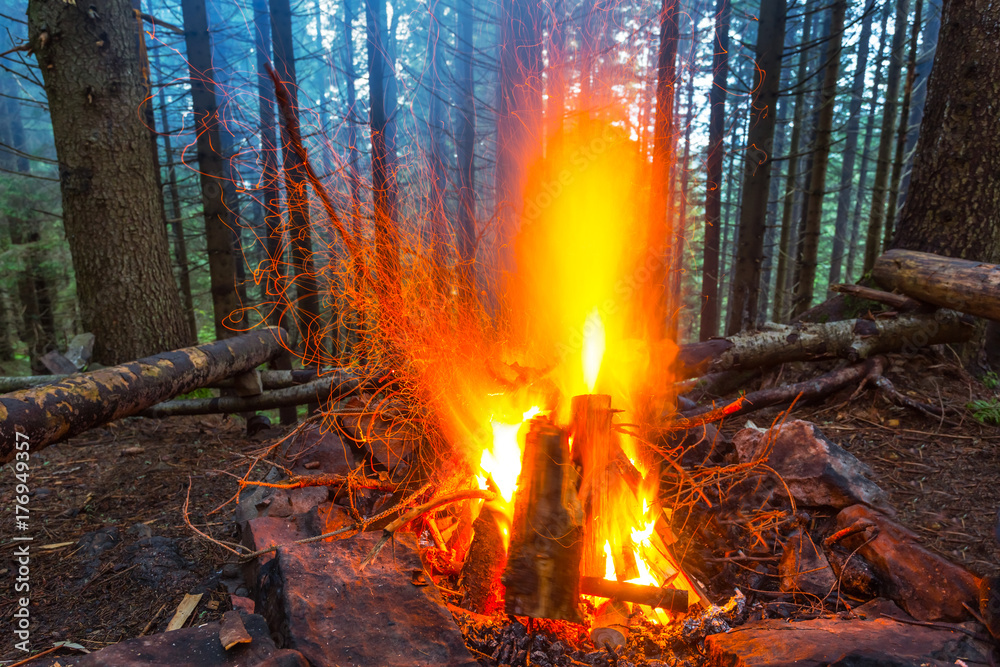 camp fire in a evening forest camp fire in a evening forest
