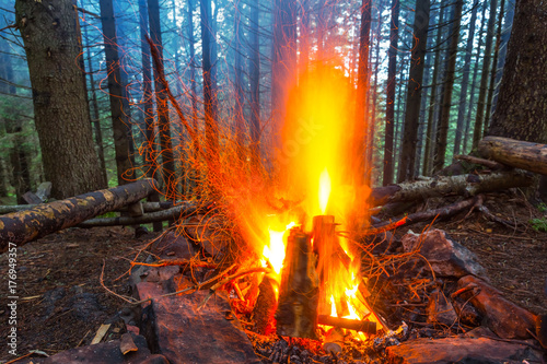 camp fire in a evening forest