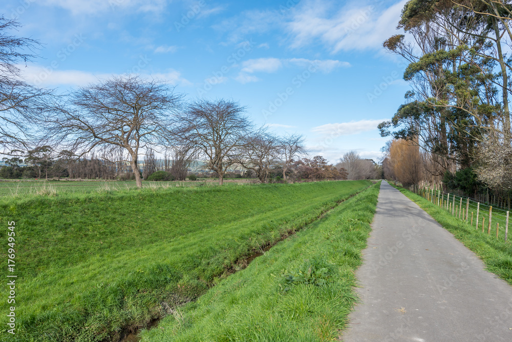 A walkway through a park in Palmerston North New Zealand A walkway through a park in Palmerston North New Zealand