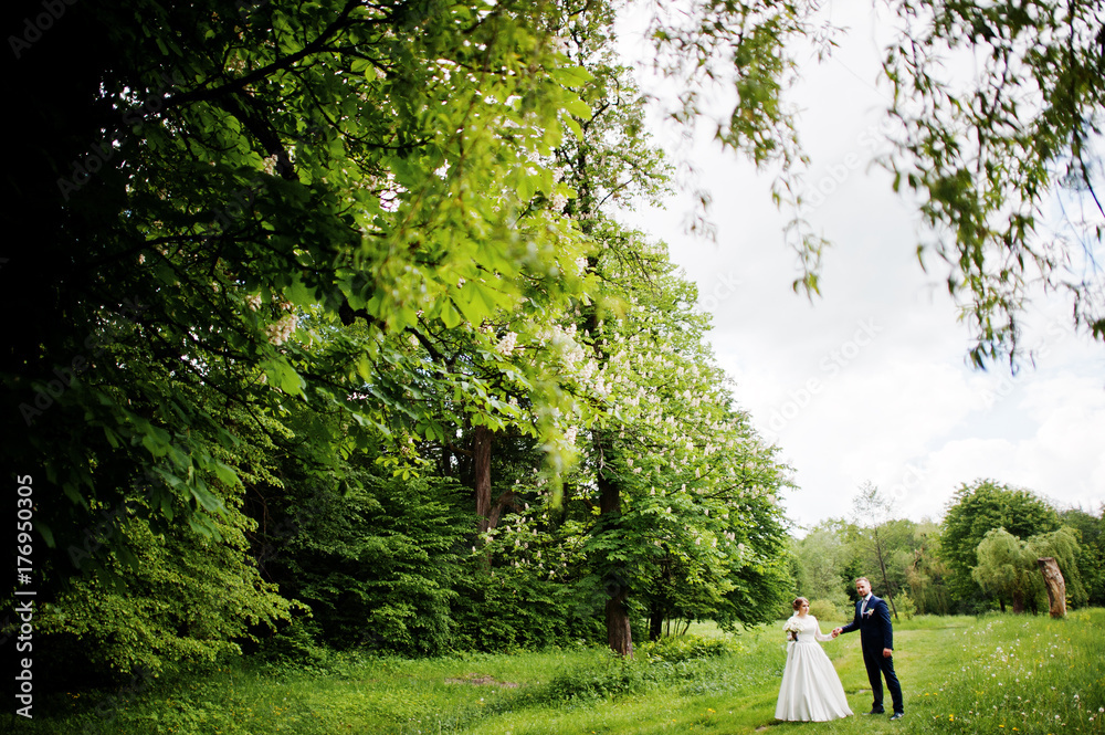 Amazing wedding couple walking and posing somewhere in the green meadow in spring.