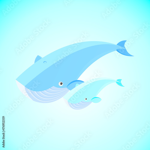 Blue whale