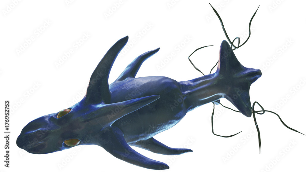海のモンスター 上から Stock イラスト Adobe Stock