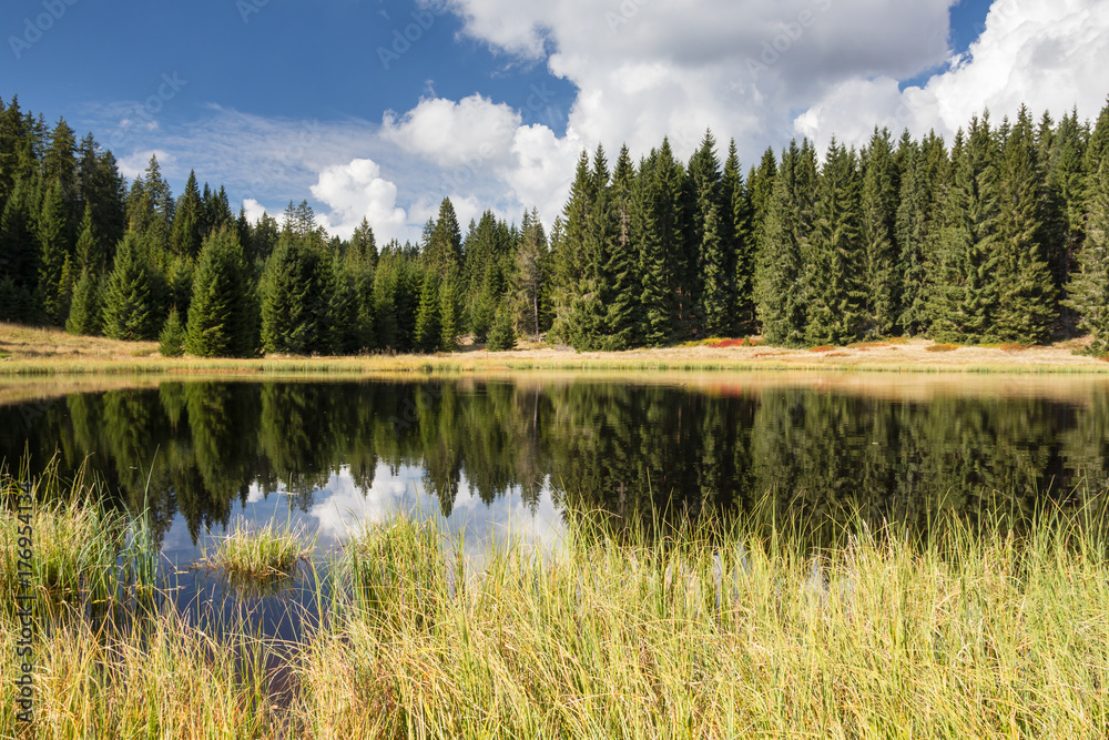 Zdarecke Lake in the Sumava mountains, Czech Republic.
