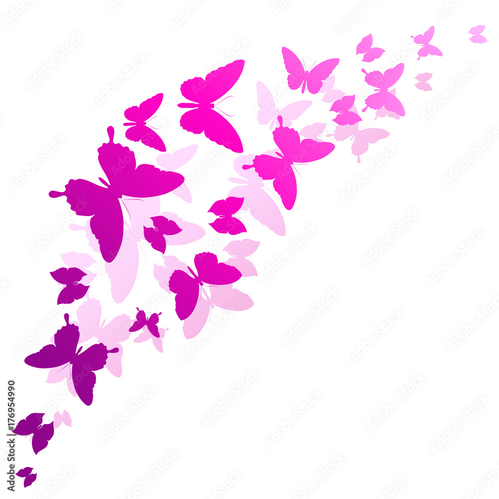 beautiful pink butterflies, isolated on a white beautiful pink butterflies, isolated on a white