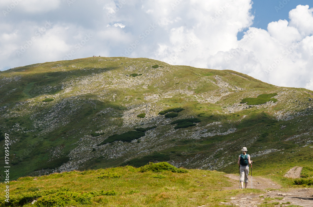 A young girl using the Nordic walking poles makes a pedestrian climb on the mountain. A young girl makes a hike on the scrumptious mountain tops of the Ukrainian Carpathian mountains.