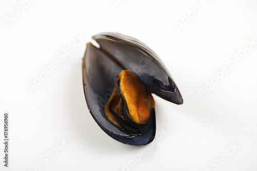 Mussel on white background.