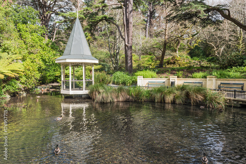The Duck Pond at the Wellington Botanical gardens New Zealand