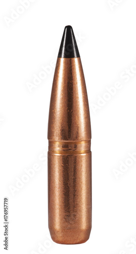 Canvas-taulu Polymer tipped bullet