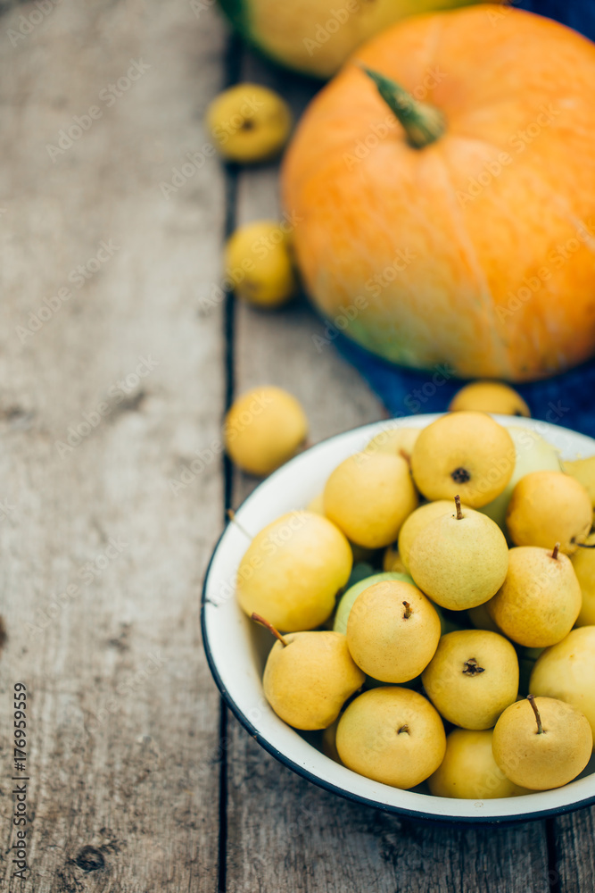 A bowl full of apples and pears next to the orange pumpkin, a senior wooden background