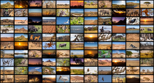 A variety of images of African Landscapes and Animals as a big image wall, documentary channel photo